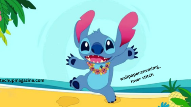 wallpaper:znvmimg_hwe= stitch