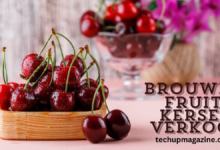 brouwer fruit - kersen verkoop