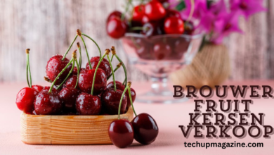 brouwer fruit - kersen verkoop