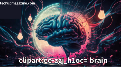 clipart:ee-zgj_h1oc= brain