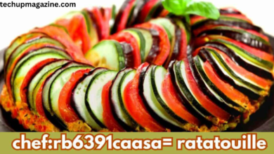 chef:rb6391caasa= ratatouille