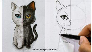 drawing:a4z_-ymtkr8= cat